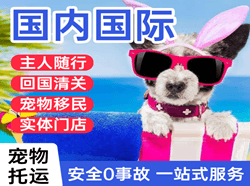 哈密伊州空运国际宠物托运 【国